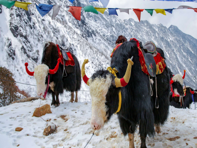 Gangtok