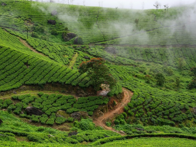 Munnar